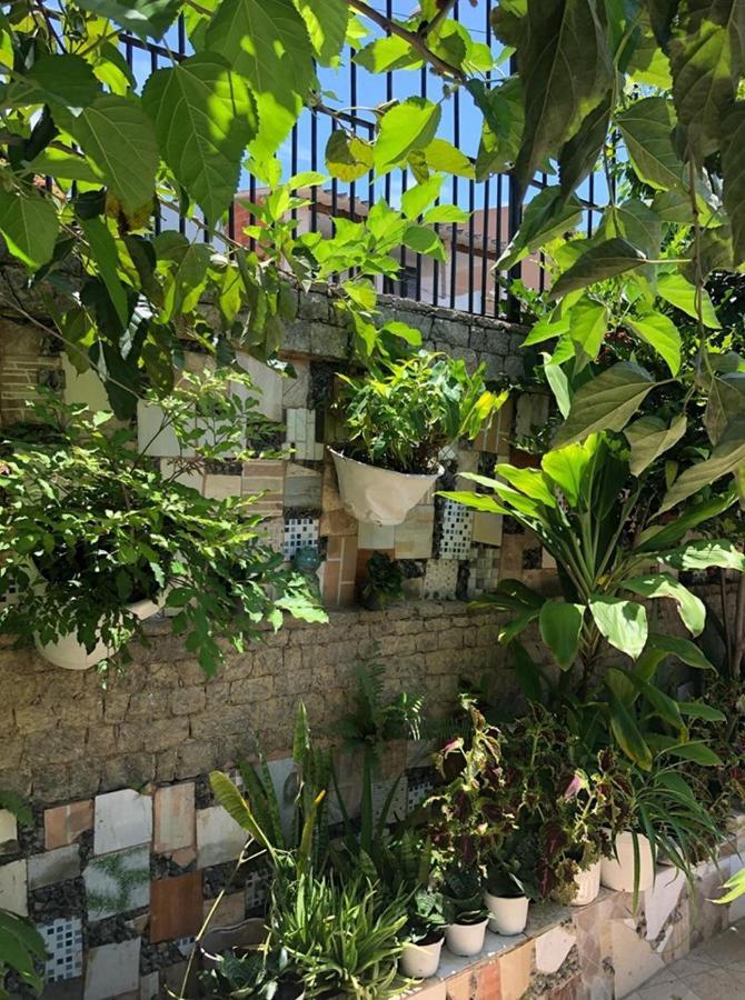 ריו דה ז'ניירו Hospedagem Minha Casa מראה חיצוני תמונה